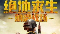 2018最新王者荣耀稳定辅助神仙挂防封版下载